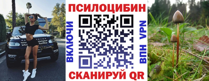 Галлюциногенные грибы Magic Shrooms  дарнет шоп  Заинск 
