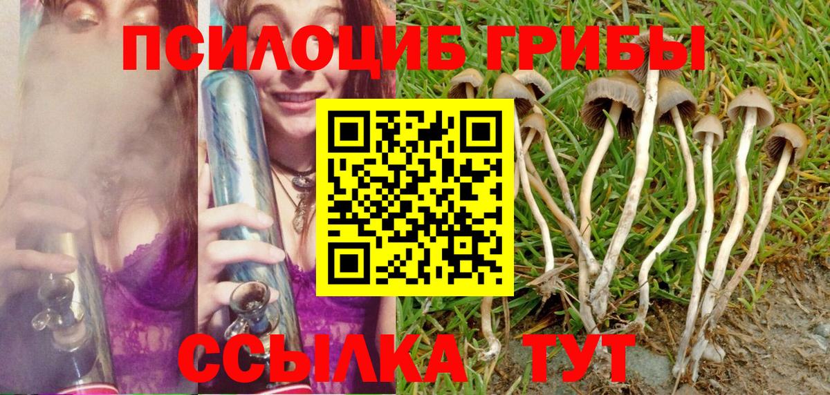 Галлюциногенные грибы мицелий Заинск