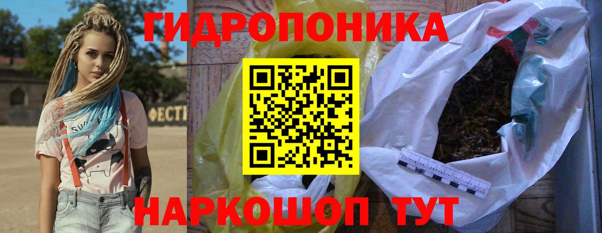 Каннабис OG Kush  Заинск  Шишки марихуана планчик  Каннабис индика 